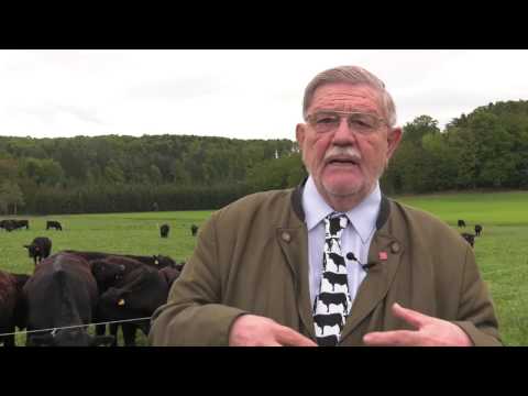 Statement Jürgen Frank, Obmann der GenussRegion Zickentaler Moorochse