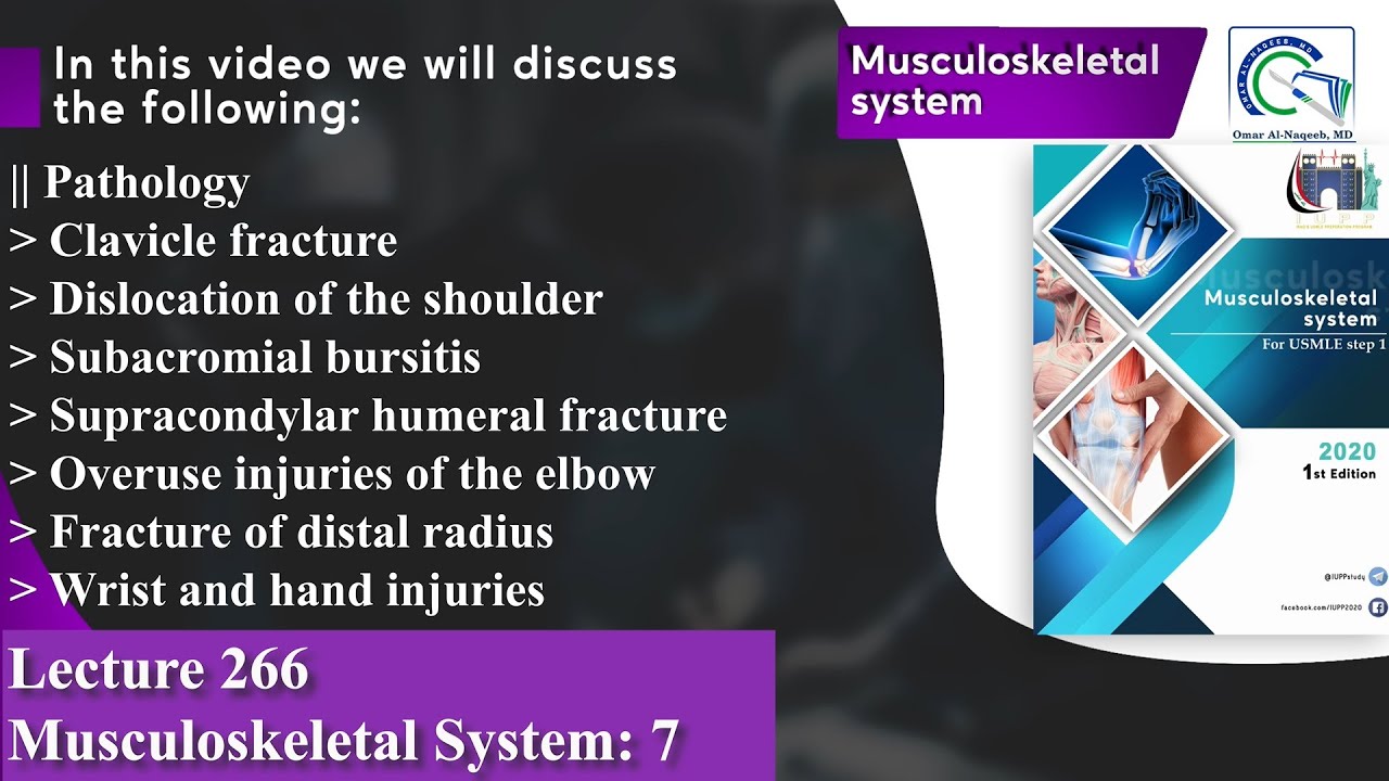Clavicle fracture | Tennis elbow | Colles’ fracture | Carpal tunnel syndrome | Boxer’s fracture