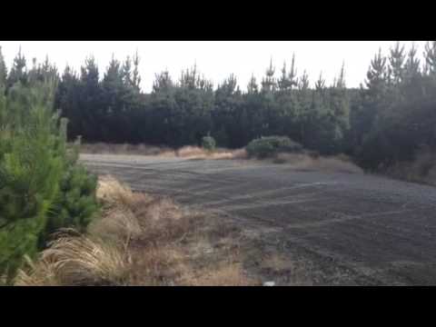 Suzuki Swift Maxi Rally Car no 2