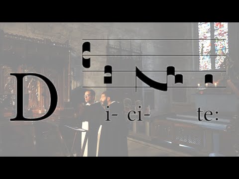 Dicite Pusillanimes O.P. (Dominica III Adventus)