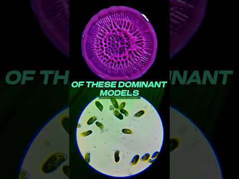 🤯 #Quantum 🧬 #Biology ⚛️