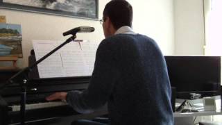 Michel Berger -Suis ta musique ou elle va (cover)