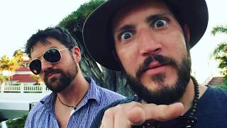 Broken Stems - Last 8 Months