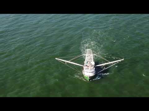 Blake’s drone 2 miles from shore