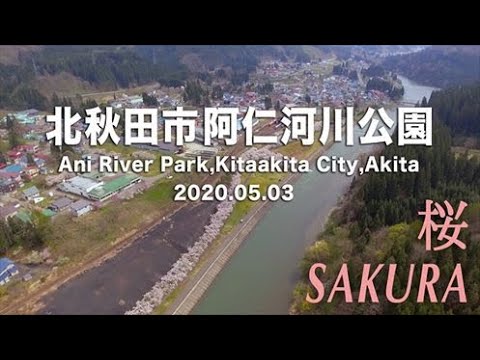 2020.5　『阿仁河川公園　桜』　Cherry blossoms ＆ Ani river park(north latitude 40 time country park )