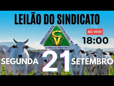 Leilão Sindicato Rural Campina Verde - 21 de Setembro 2026