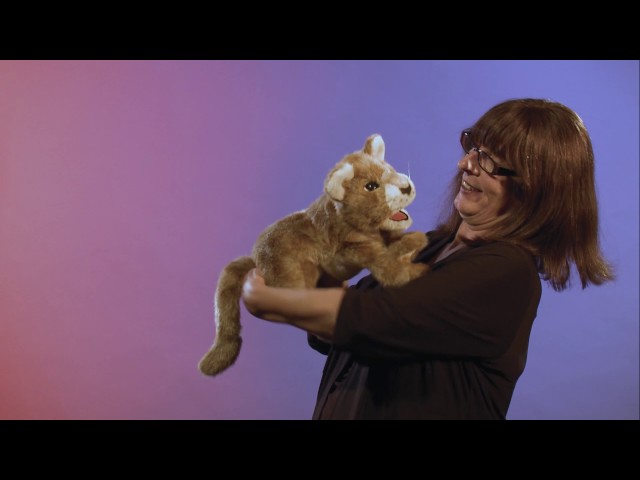 Video Teaser für Folkmanis® African Lion Cub Puppet Demo