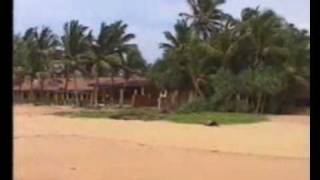 preview picture of video 'Hikkaduwa Beach House Rental, Sri Lanka'