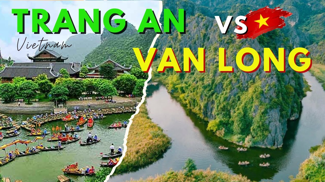 Glide through the scenic waterways of Van Long Wetland, where nature reveals its most tranquil wonders.