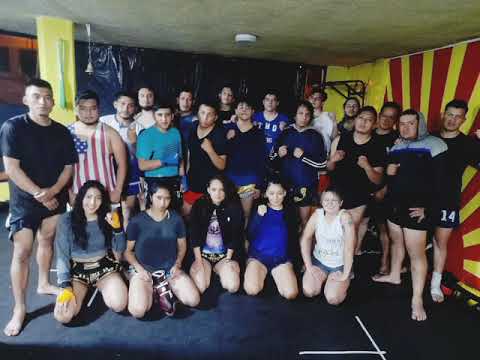 Acera punk rock -Linaje Hariken