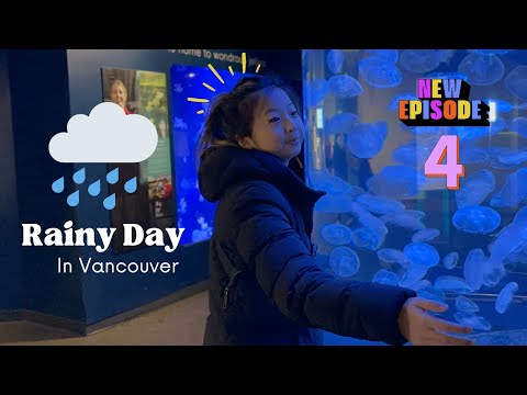 Vancouver’s best Rainy Day Activities: From the Aquarium to Indoor Fun!