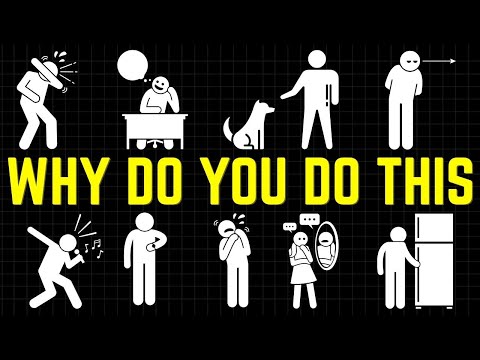 Brain Bloom and Dreamy Facts