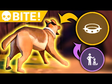 A True Friend Dog Can Be a Damage Monster In LDOE!