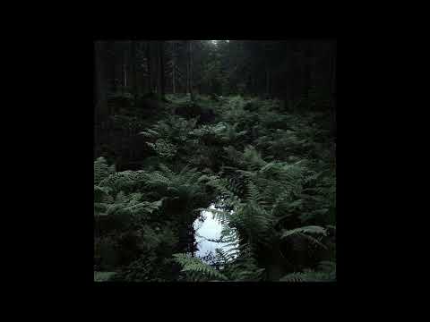 [FREE] "Last Night" Alternative Rock x Slowdive x Sad Shoegaze Type Beat 2024