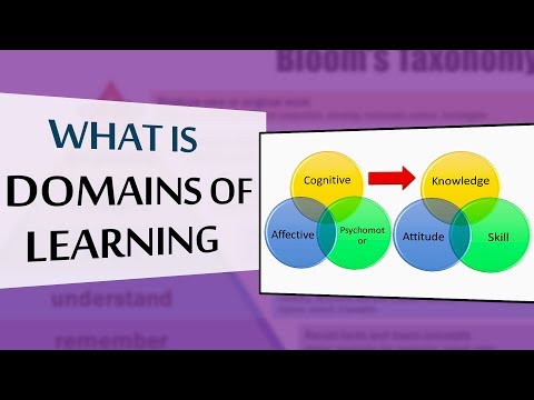 image-What is domain technology?