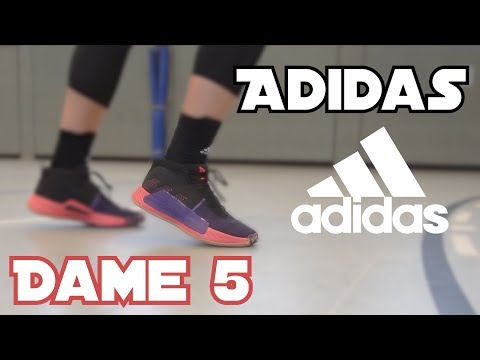 Adidas Dame 5 - Review - Bester Budget Basketballschuh !?