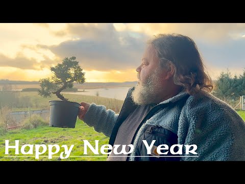 New Year New Junipers - Greenwood Bonsai