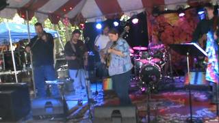 Michael Franti &amp; Spearhead-Ganja Babe (Covered by String Band)