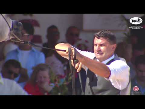 N 37 AJ KAYYA   Mediterranean and Arab Countries AHC   Menton 2022   Fillies 2 Years Old Class 2