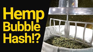 Hemp Bubble (Ice Water) Hash!