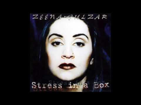 Zeena Gulzar - Stress In A Box (Sleaze Sisters' Instrumental Mix)
