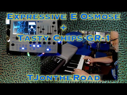 Expressive E Osmose + Tasty Chips GR-1 MPE Demo