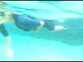 The Galapagos Sea Creatures Song Bring Me To Life By Evanescence