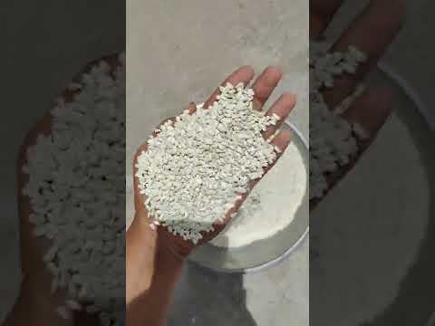 Safflower Seeds - Kusum Beej