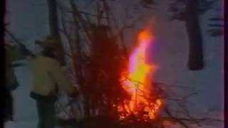 🎶 ВІА Ватра 🔥 | 