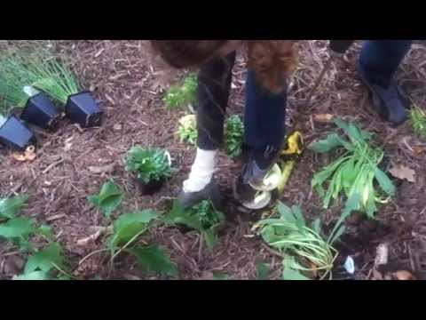 Learn more about the Master Water Stewards Program