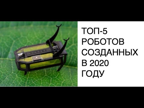 Технологии будущего ТОП-5 роботов 2020 года новости науки