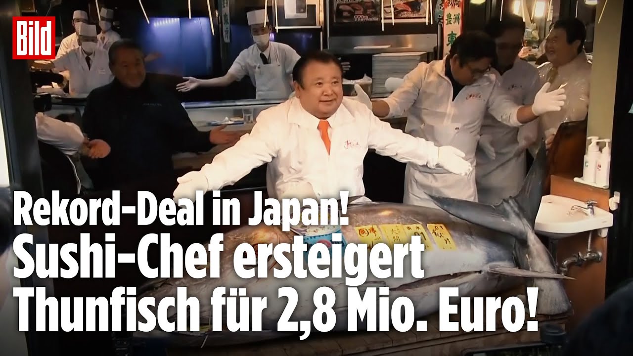 JAPAN: Rekord-Deal! Sushi-Chef ersteigert seltenen Thunfisch für 2,8 Millionen Euro!