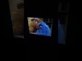 Sesame Street Episode 3084 Ending
