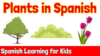 Plants in Spanish | Spanish Learning for Kids