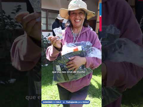 Comienzan los trabajos del PEE en Pumanque, Región de O'Higgins