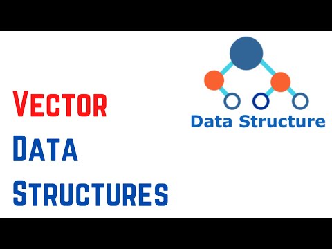 Data Structures And Algorithms 11 Vector Data Structures for Absolute Beginners
