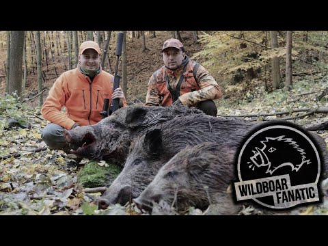 Drückjagd im Erzgebirge - *Hunt on Demand Free Episode*                      #Drückjagd #Drivenhunt