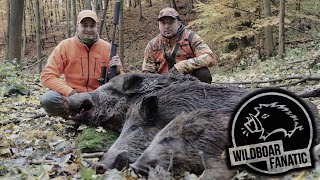 Drückjagd im Erzgebirge - *Hunt on Demand Free Episode*                      #Drückjagd #Drivenhunt