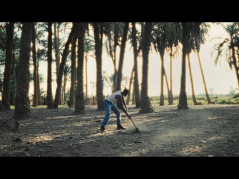 Lil Noby - Maleesh Zay ft. @Husayn-  & @Wingii  |  ليل نوبي - مليش زي مع حسين و وينجي