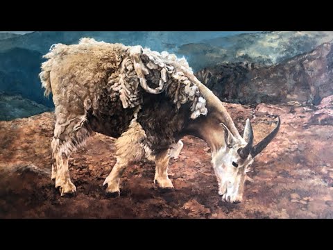 Google Gripes for Sundar - All About Android 449