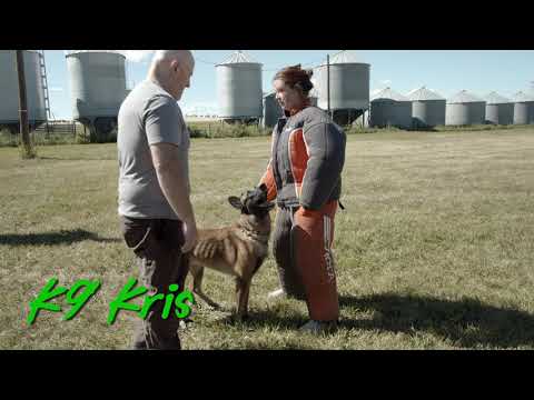 K9 Kris Airing on WildTV and RFD-TV starting December 28 - 1