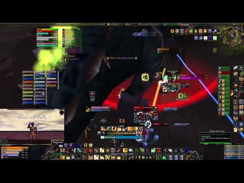 WoW TBC Classic Sunwell Plateau Brutallus   Prot Paladin Holy POV
