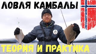 На что ловить камбалу в норвегии