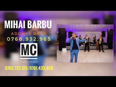 MIHAI BARBU & ADONYS BAND - LA PANTOFI SI LA SANDALE ( COVER VIORAS MILAN 2025)