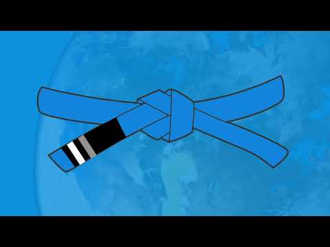 Adults jiu-jitsu Belt System