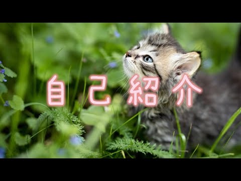 1分でも♪聞いて欲しいお話ありますか？聞きます イメージ1