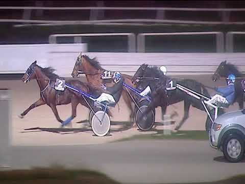 Trotto 22/01/2019 - 7ª corsa - TRIS