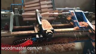 Máy tiện gỗ cnc tự động nạp phôi ( tiện vi tính )