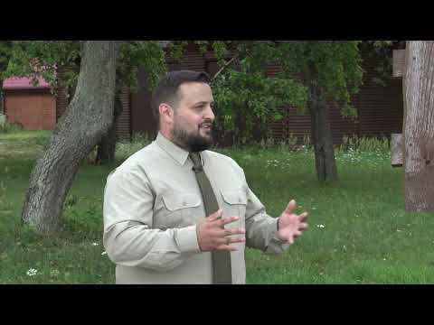 Lasy w Gminie Opoczno