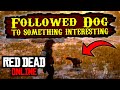 RDR2 Online - Followed dog to something interesting - All locations in Red Dead Online - RDO